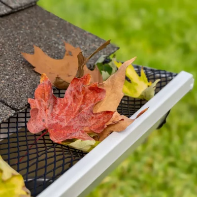 Gutter Cleaning (1)