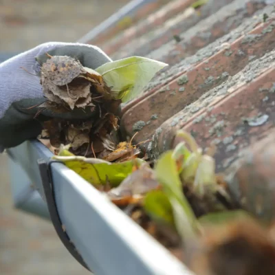Gutter Cleaning (2)