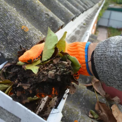 Gutter Cleaning (4)