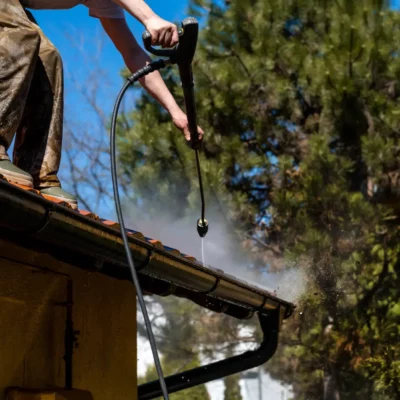 Gutter Cleaning (5)