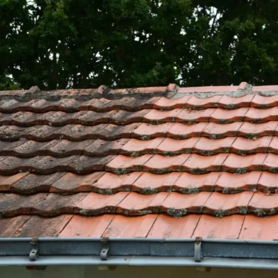 Roof Cleaning (1)