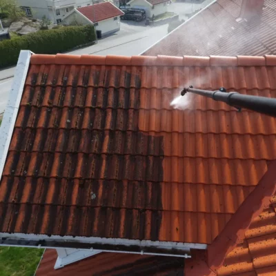 Roof Cleaning (2)