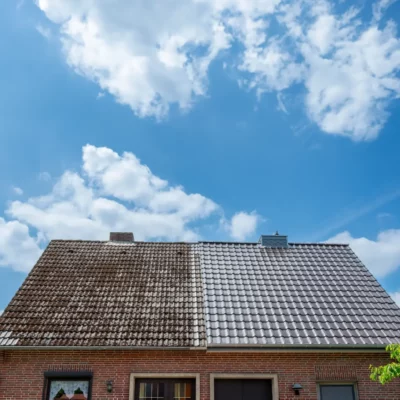 Roof Cleaning (3)